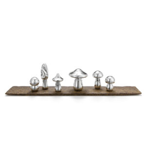 Wolfgang Joop — „Magic Mushrooms“